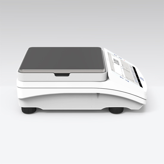 Laboratórna váha  RADWAG PS 2100.X7.M Max. 2100 g d=10 mg