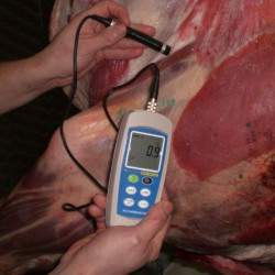 Vpichový teplomer Dostmann electronic H370 s certifikátom o kalibrácii (50, 150, 200 °C)